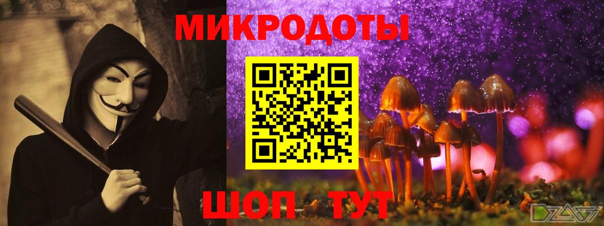 Галлюциногенные грибы MAGIC MUSHROOMS  Вход с VPN  Мытищи 